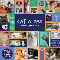 2024 Cat-A-Day Wall Calendar