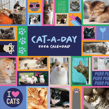 2024 Cat-A-Day Wall Calendar