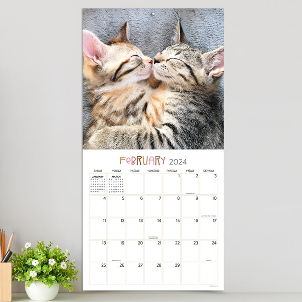 2024 Cat Dreams Wall Calendar