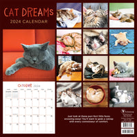2024 Cat Dreams Wall Calendar