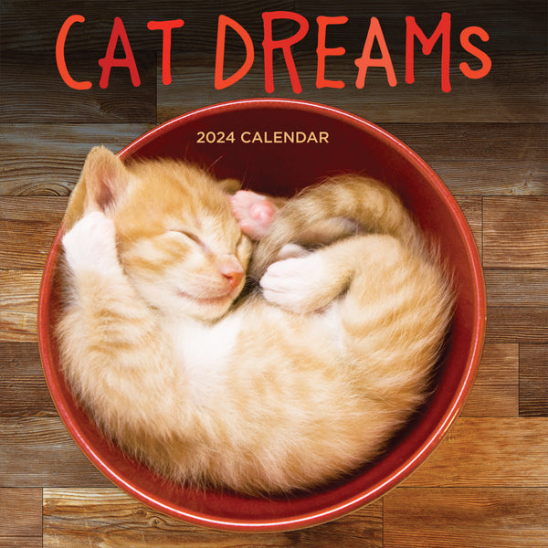 The Artful Cat 2024 Weekly Planner, Travel-Size 12-Month Calendar, Compact 5 x 7