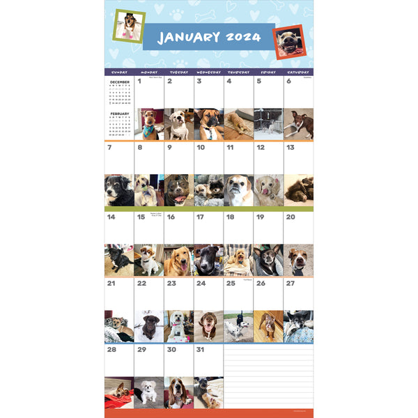 2024 Dog-A-Day Wall Calendar