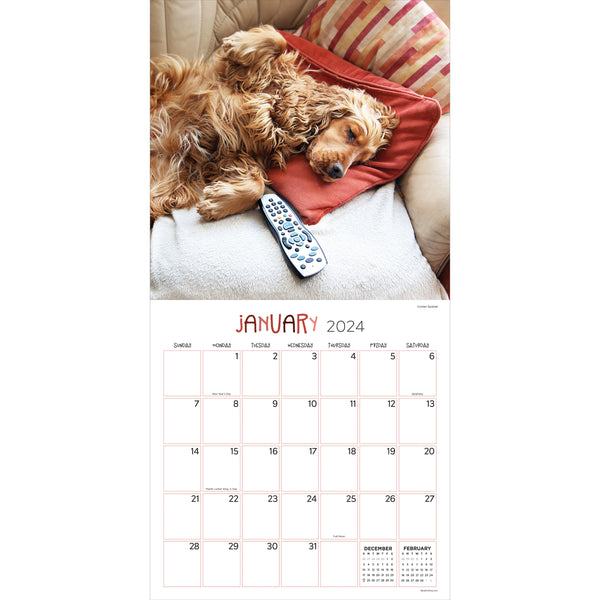 2024 Dog Dreams Wall Calendar