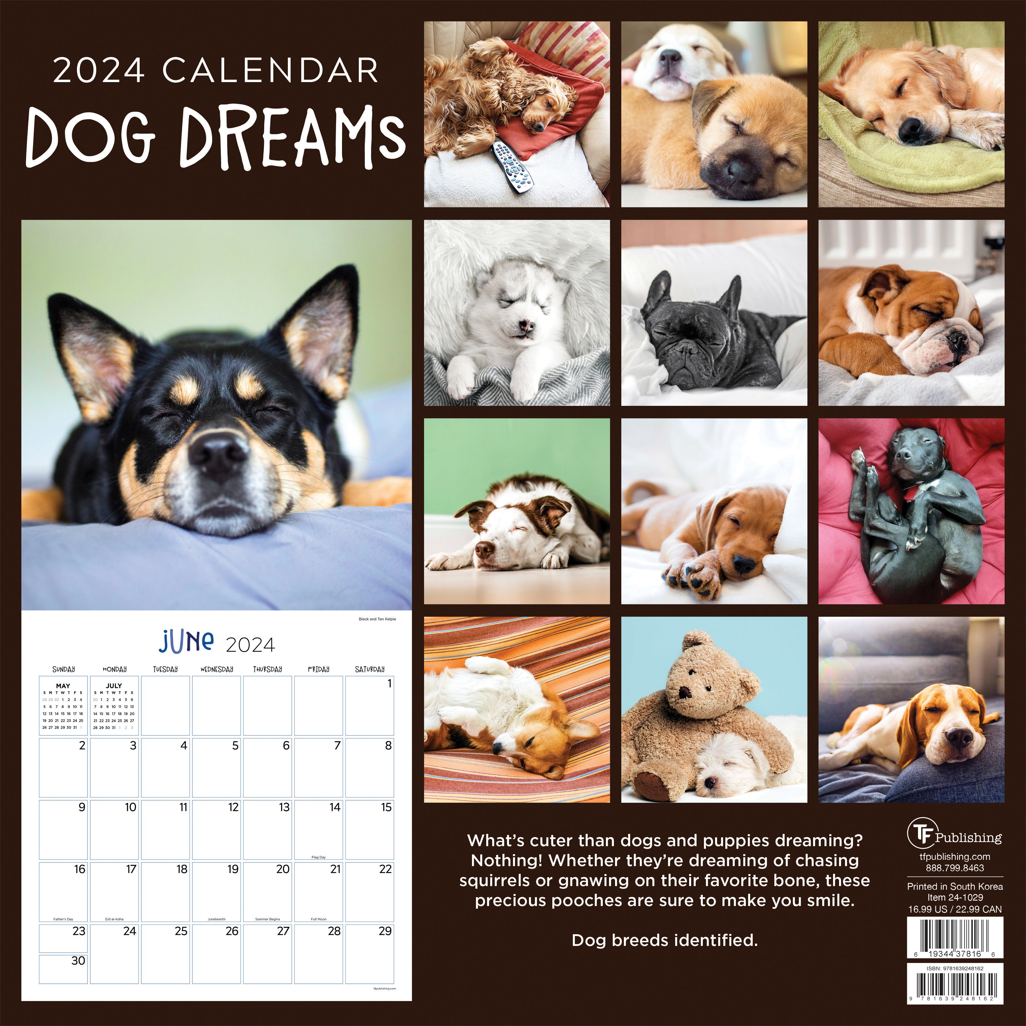 2024 Dog Dreams Wall Calendar-4