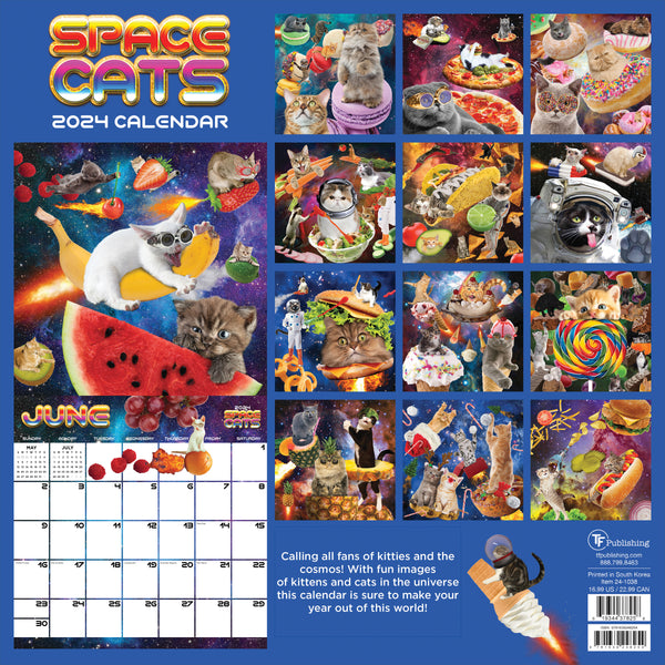 2024 Space Cats Wall Calendar