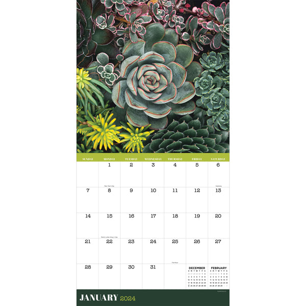 2024 Succulents Wall Calendar