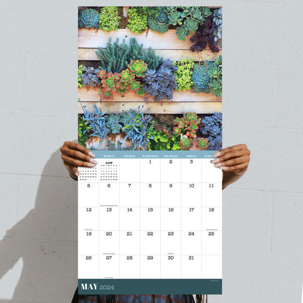 2024 Succulents Wall Calendar