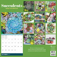 2024 Succulents Wall Calendar
