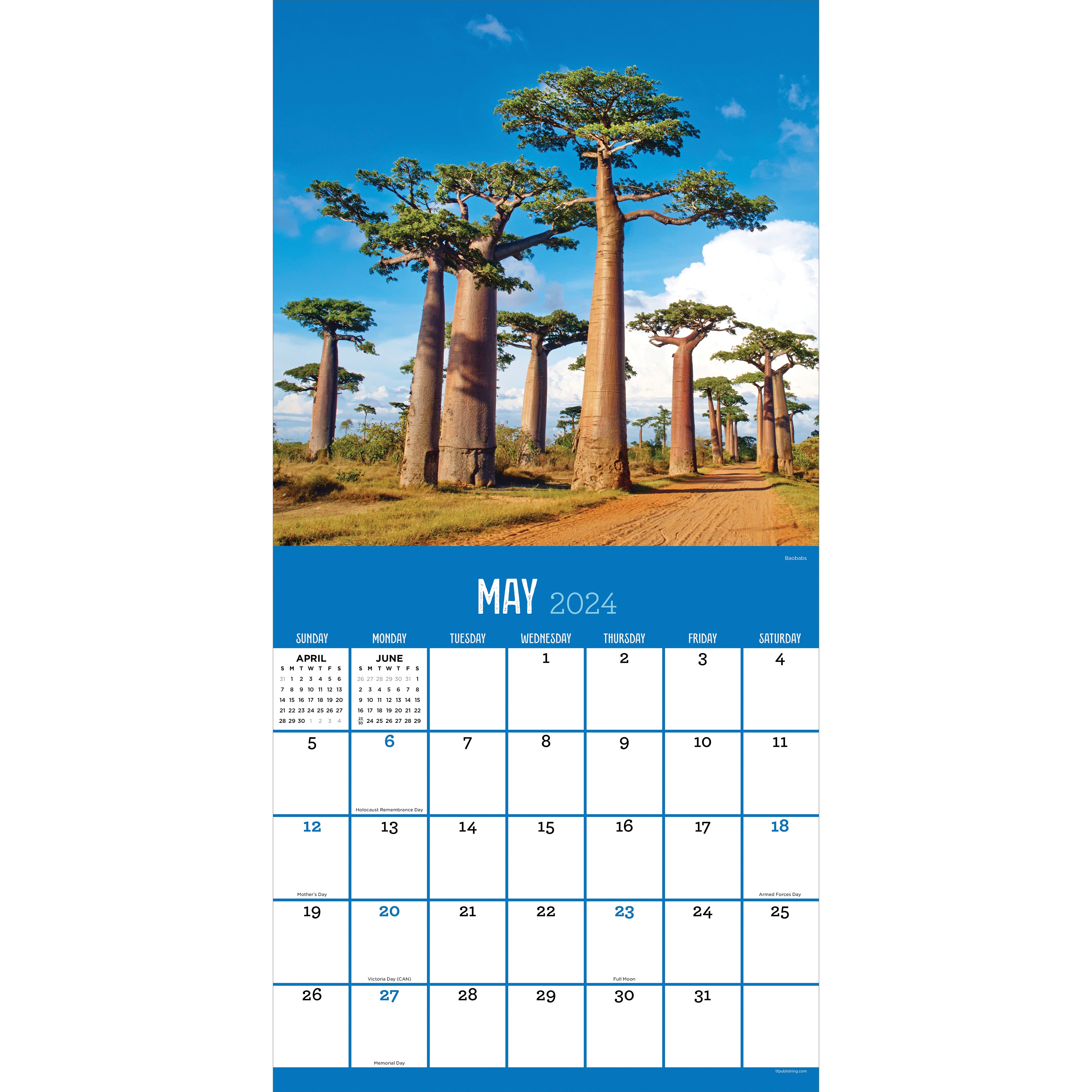 2024 Trees Wall Calendar