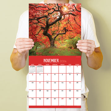 2024 Trees Wall Calendar