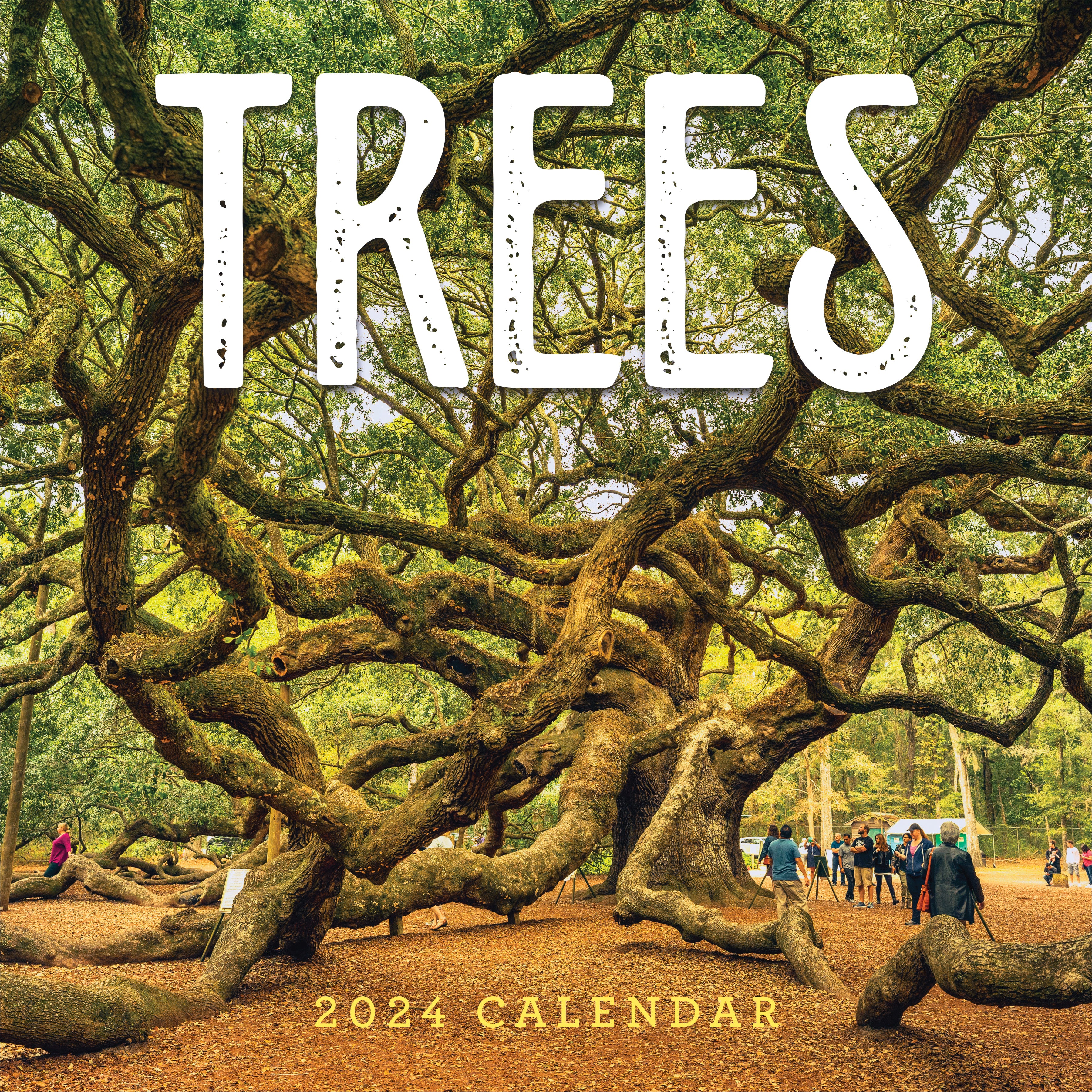 2024 Trees Wall Calendar-1