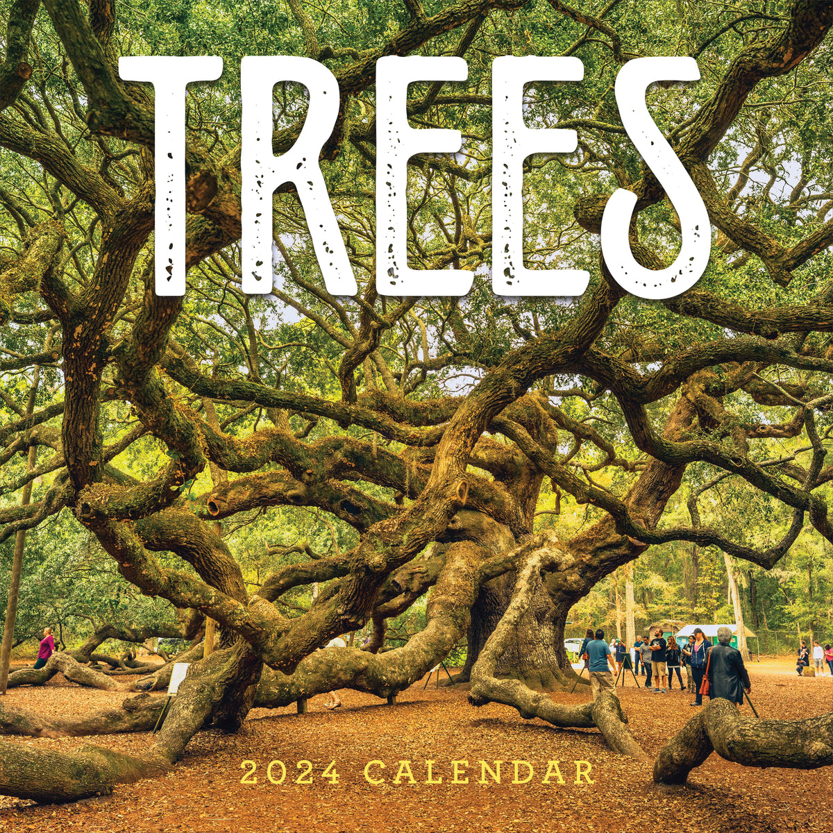2024 Trees Wall Calendar TF Publishing Calendars + Planners