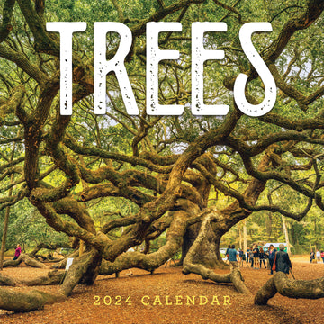 2024 Trees Wall Calendar