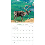 2024 Wild Wall Calendar