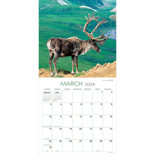 2024 Wild Wall Calendar
