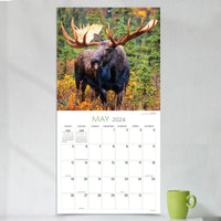 2024 Wild Wall Calendar