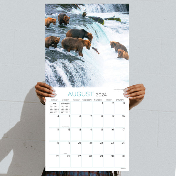 2024 Wild Wall Calendar