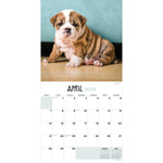 2024 Puppies Wall Calendar