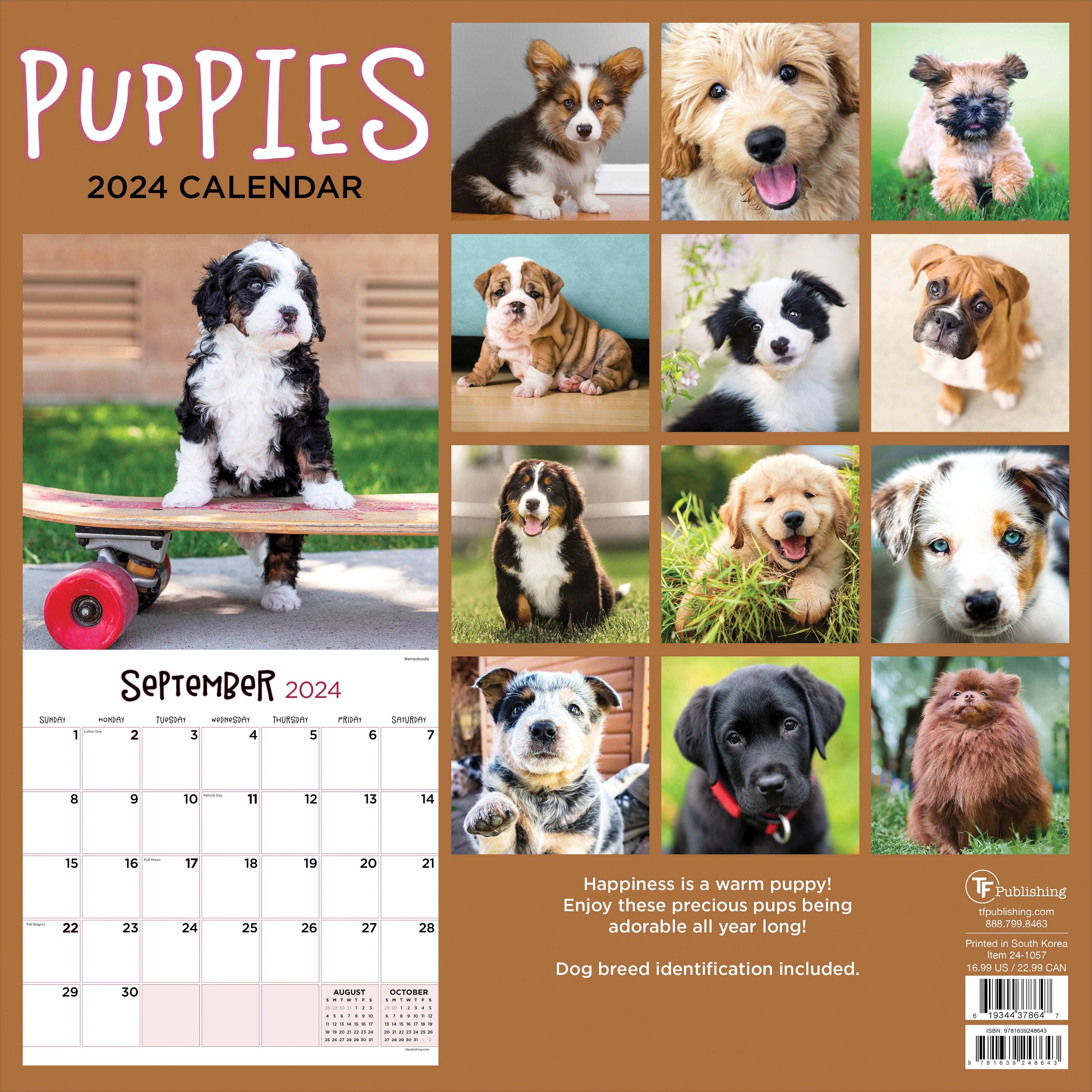 2024 Puppies Wall Calendar-4