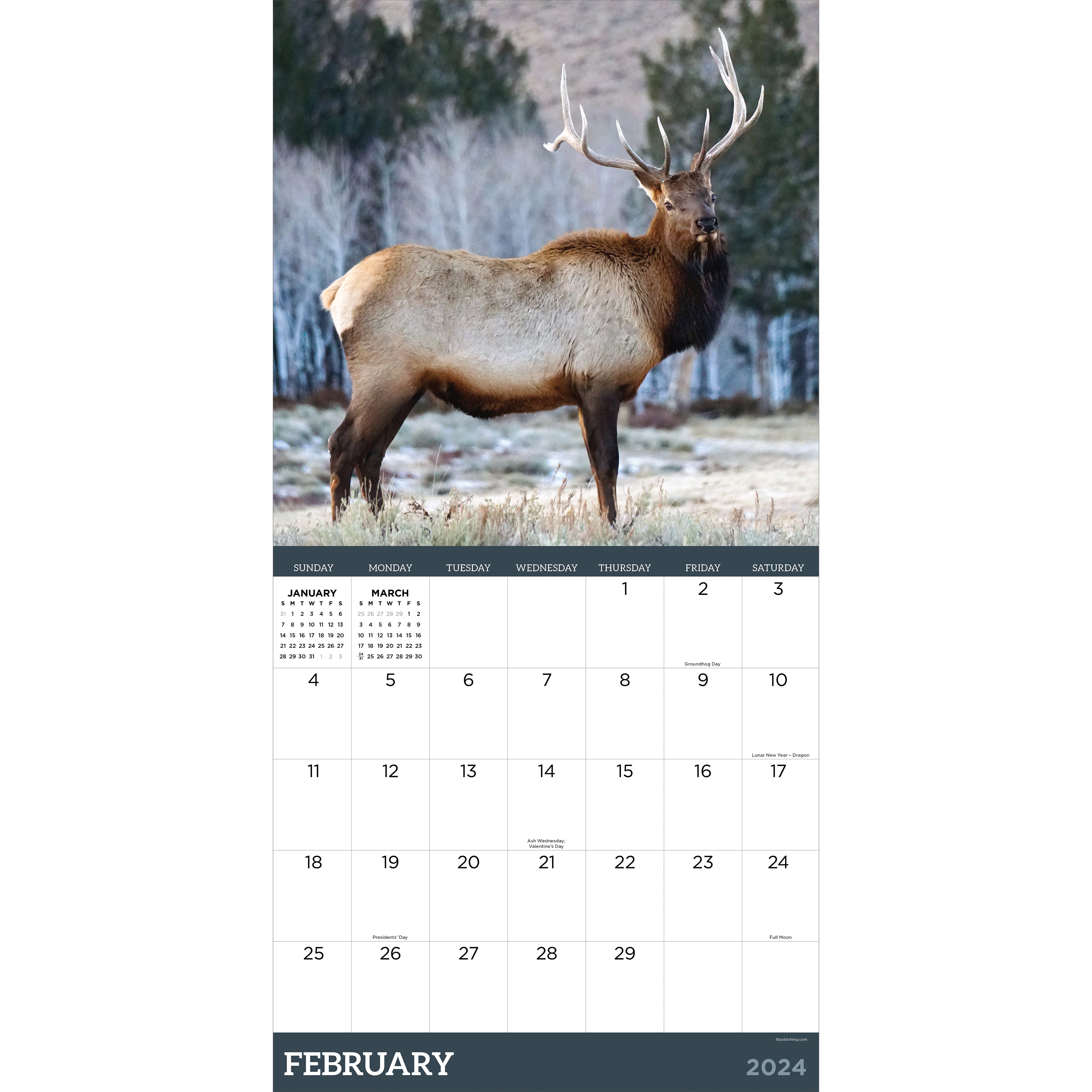 2024 Deer Wall Calendar-5