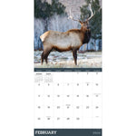 2024 Deer Wall Calendar
