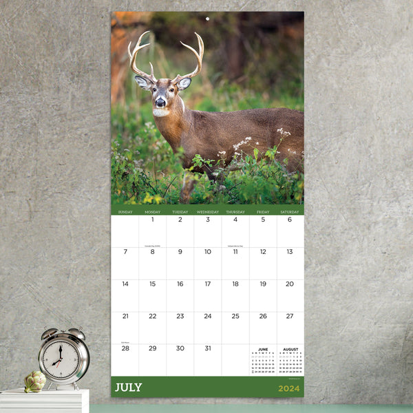 2024 Deer Wall Calendar