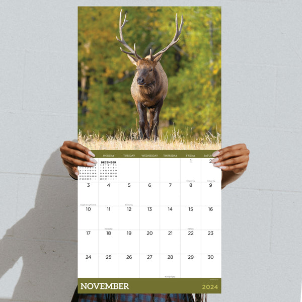 2024 Deer Wall Calendar