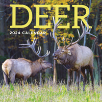 2024 Deer Wall Calendar