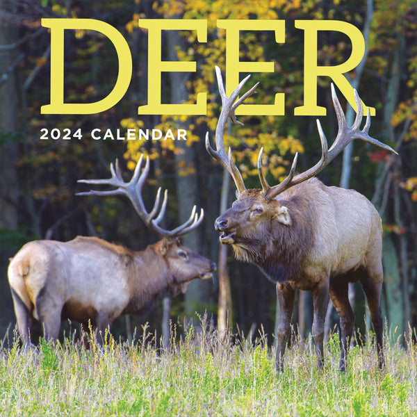 2024 Deer Wall Calendar