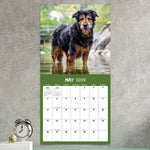 2024 Mutts Wall Calendar