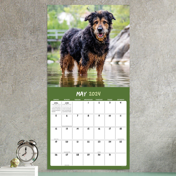 2024 Mutts Wall Calendar
