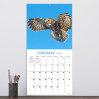 2024 Owls Wall Calendar
