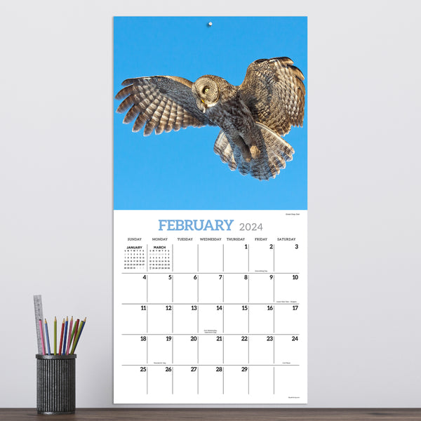 2024 Owls Wall Calendar