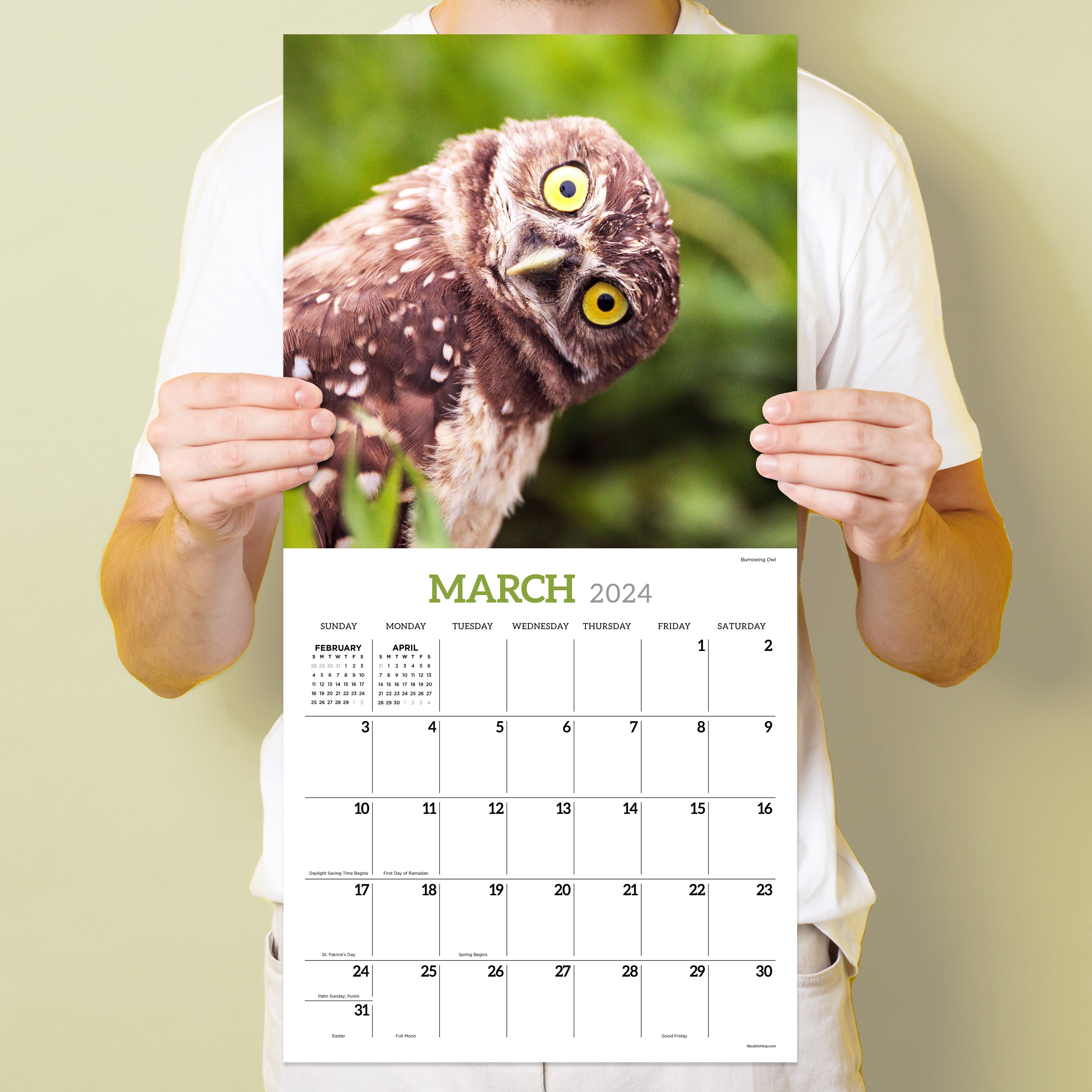 2024 Owls Wall Calendar - 0