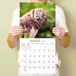 2024 Owls Wall Calendar