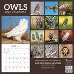 2024 Owls Wall Calendar