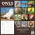 2024 Owls Wall Calendar
