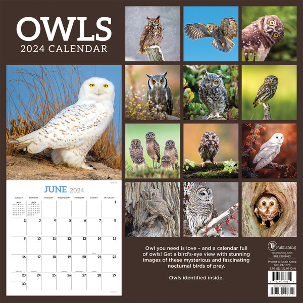 2024 Owls Wall Calendar