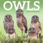 2024 Owls Wall Calendar