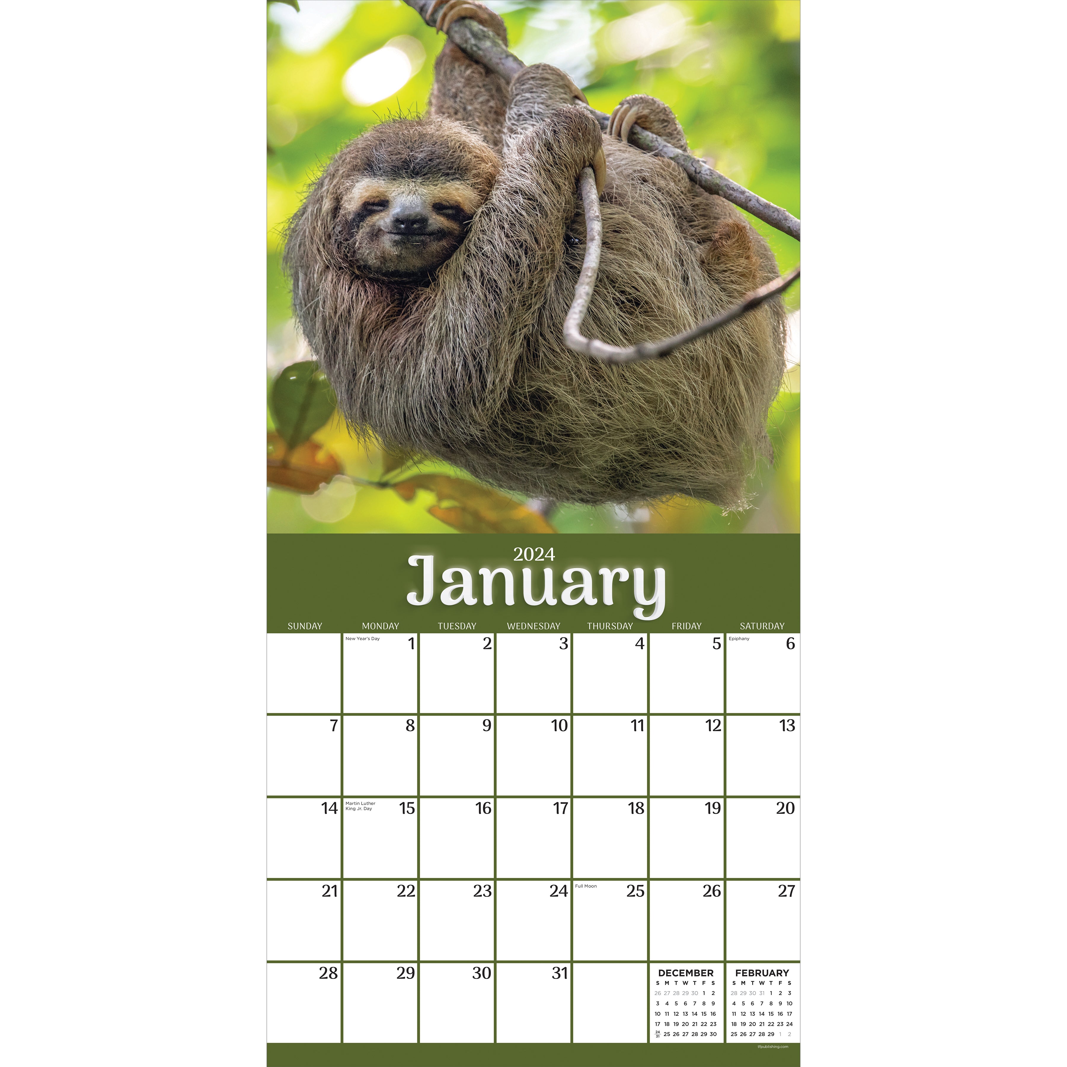 2024 Sloths Wall Calendar TF Publishing Calendars + Planners