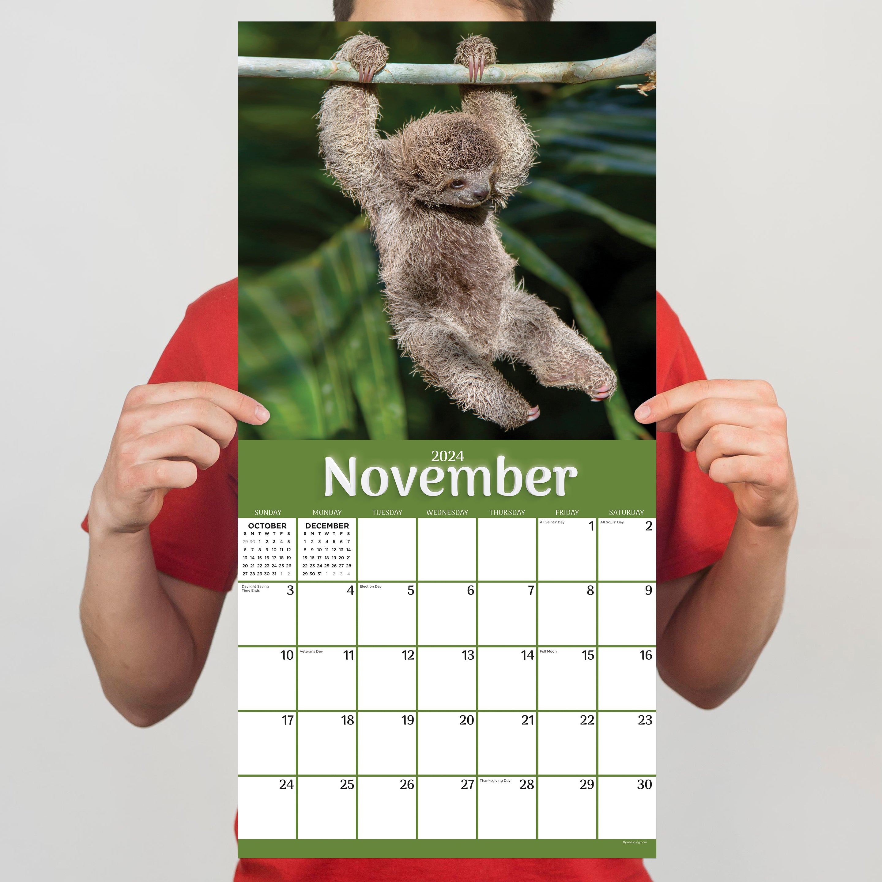 2024 Sloths Wall Calendar