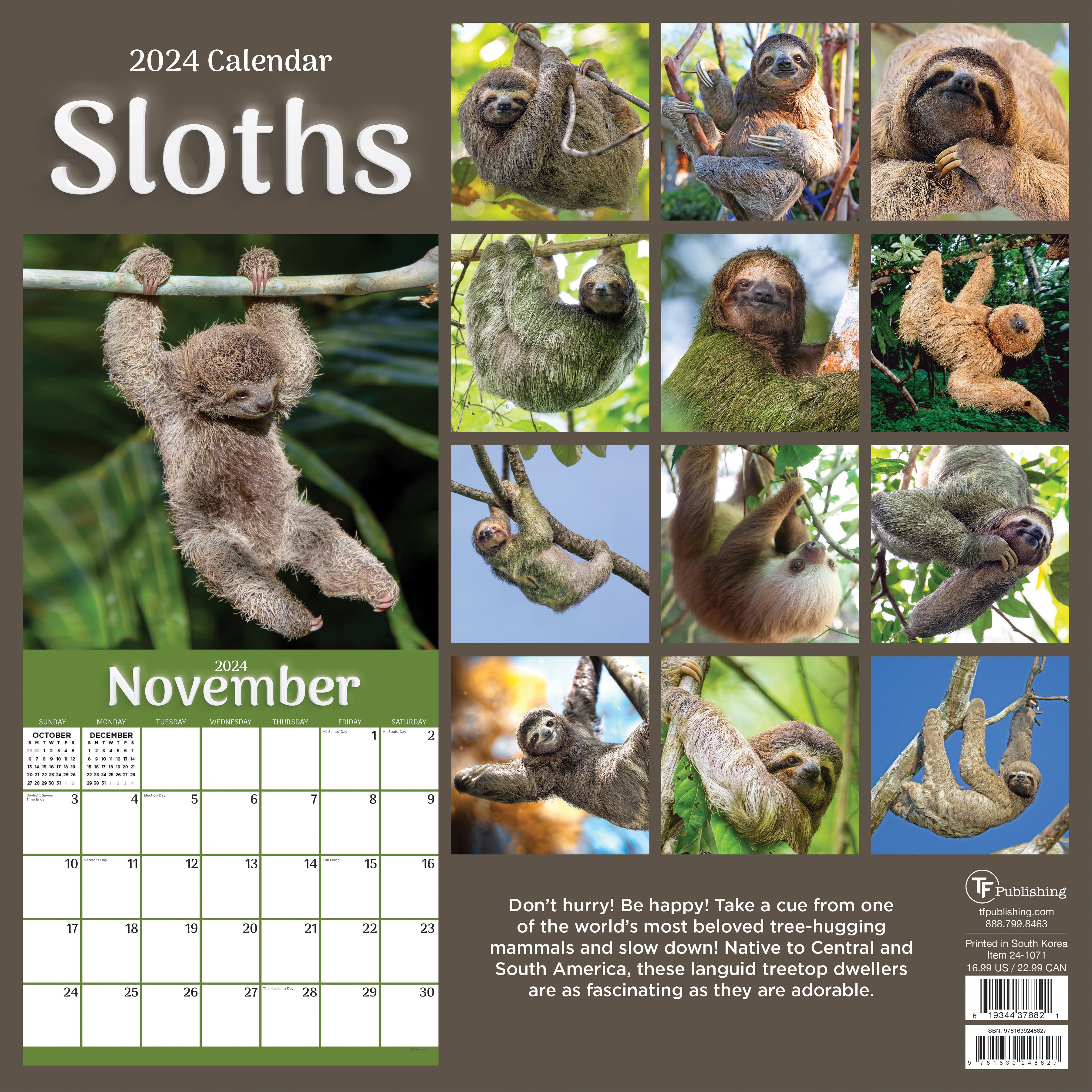 2024 Sloths Wall Calendar TF Publishing Calendars + Planners