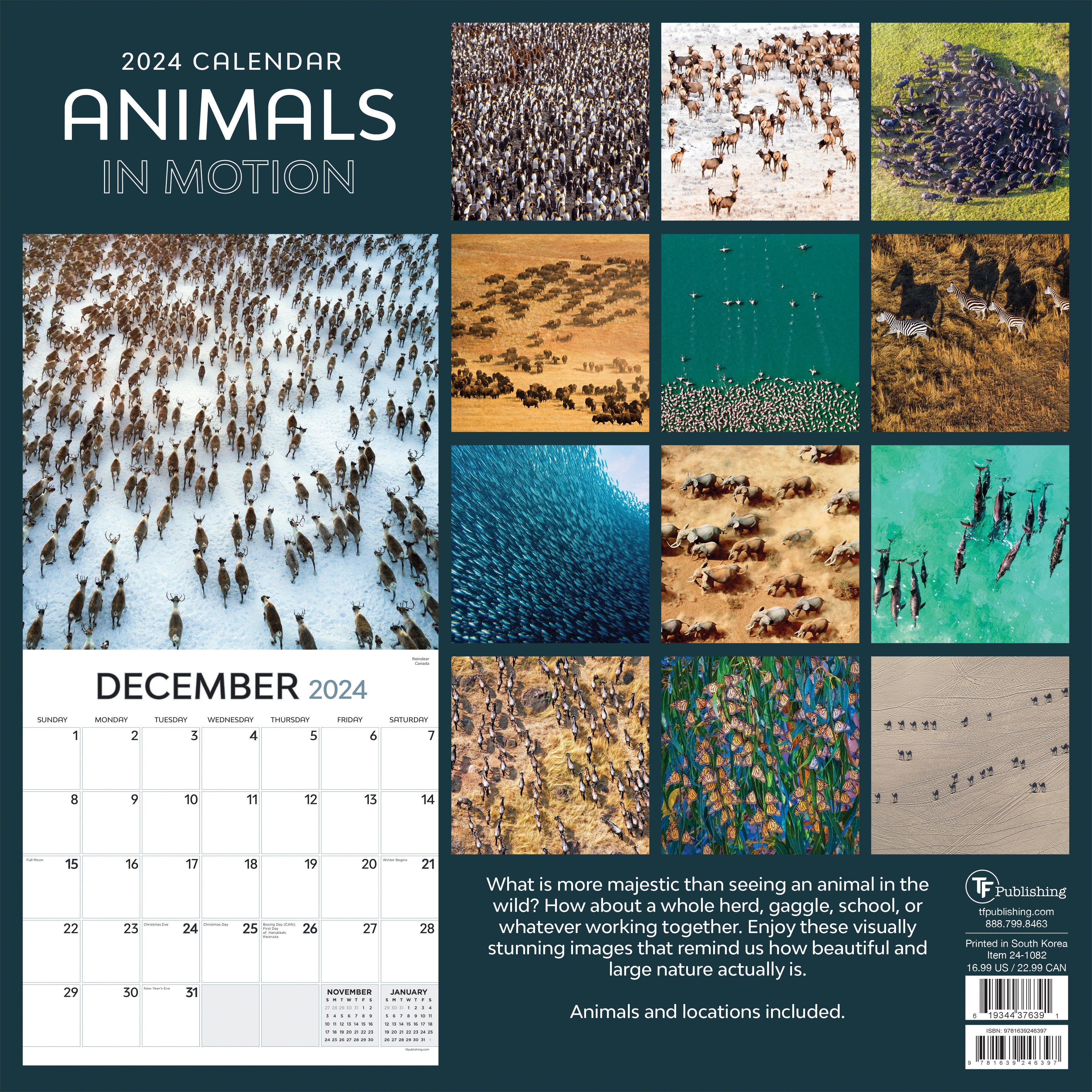 2024 Animals in Motion Wall Calendar - 0