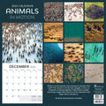 2024 Animals in Motion Wall Calendar