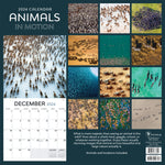 2024 Animals in Motion Wall Calendar