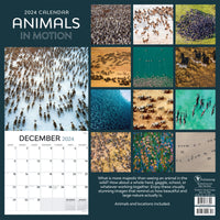 2024 Animals in Motion Wall Calendar