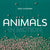 2024 Animals in Motion Wall Calendar