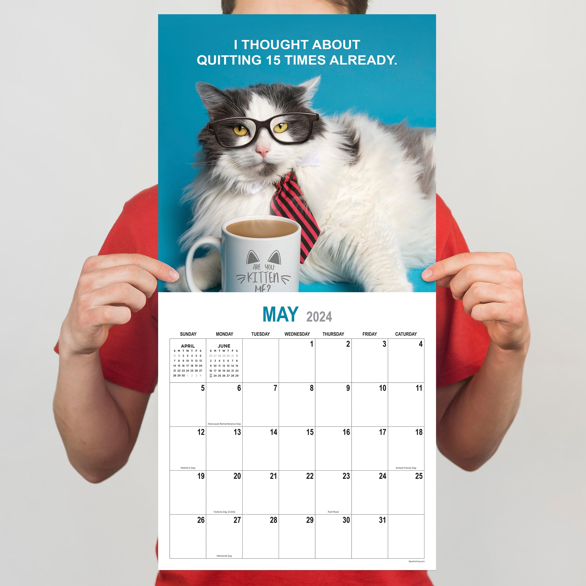 2024 Kitty Calendar 2024 Wall Calendar Cat Calendar 2024 Wall Planner 