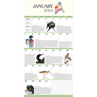 2024 What It's Like To Be A Bird Wall Calendar