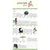 2024 What It's Like To Be A Bird Wall Calendar